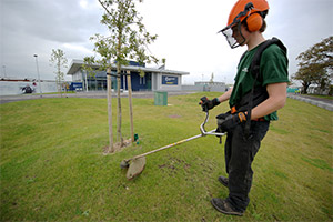 grounds maintenance services
